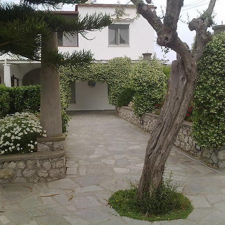 Il Merlo Anacapri  Luaran gambar
