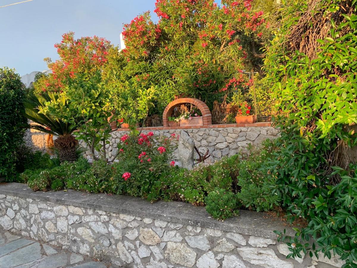Il Merlo Anacapri  Luaran gambar
