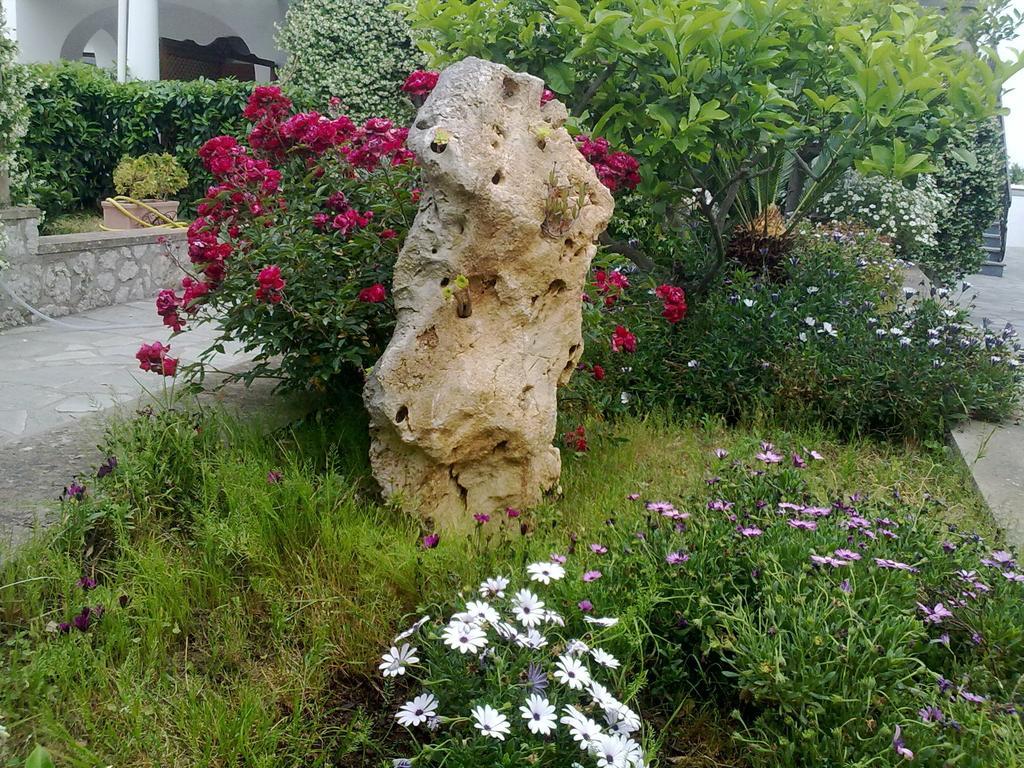 Il Merlo Anacapri  Luaran gambar