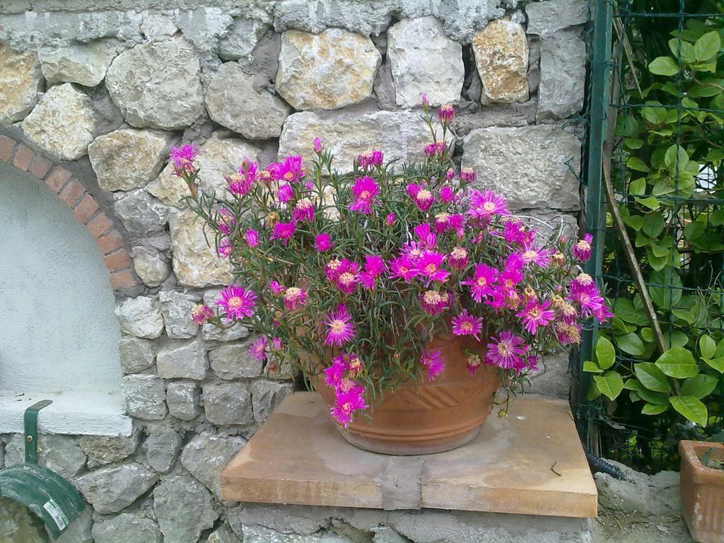 Il Merlo Anacapri  Luaran gambar
