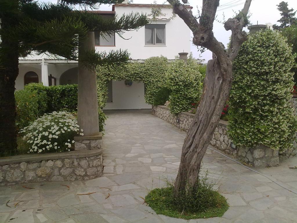 Il Merlo Anacapri  Luaran gambar