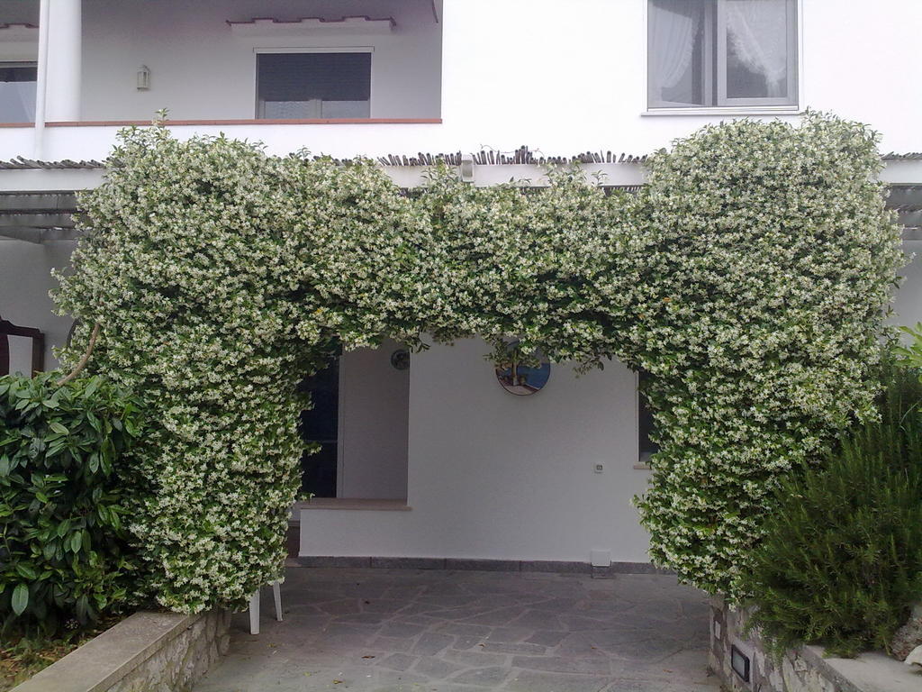 Il Merlo Anacapri  Luaran gambar